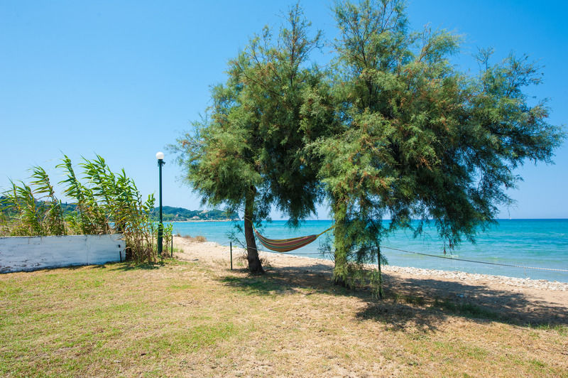 Corfu Sea Palm Residence Roda  Eksteriør billede
